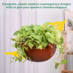 Hanging Ceramic Planters Petrichor Smite
