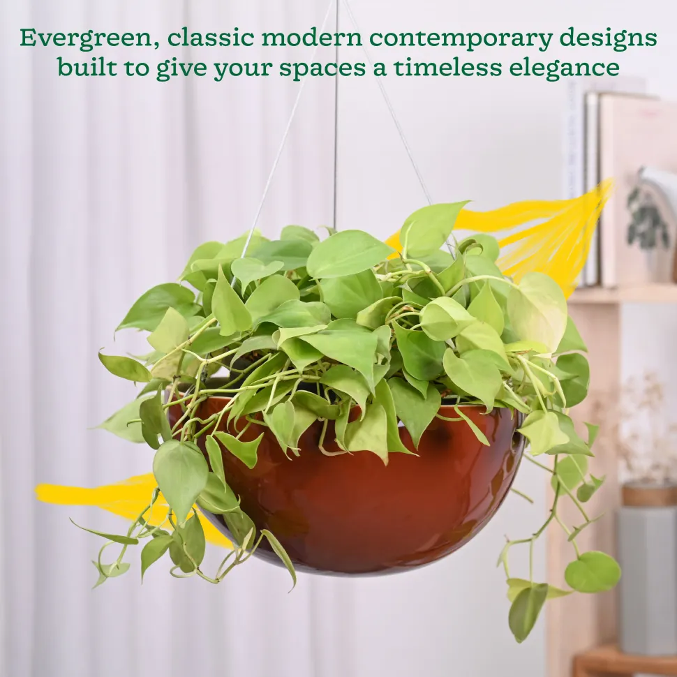 Hanging Ceramic Planters Petrichor Smite