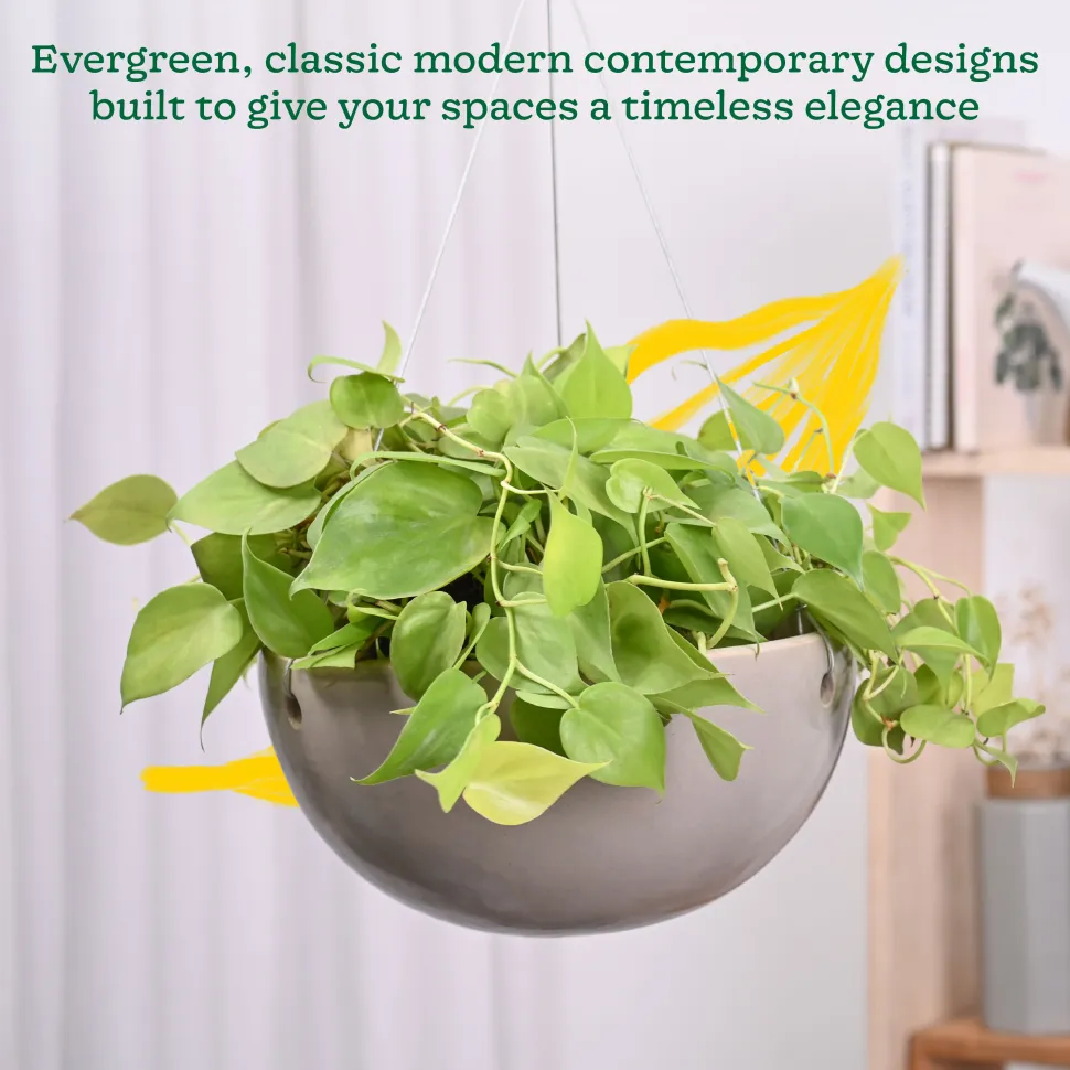 Hanging Ceramic Planters Petrichor Smite