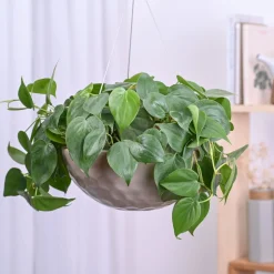 Hanging Ceramic Planters Petrichor Smite