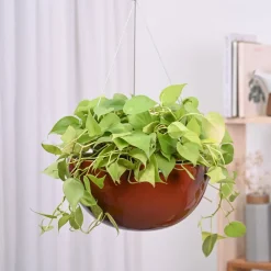 Hanging Ceramic Planters Petrichor Smite