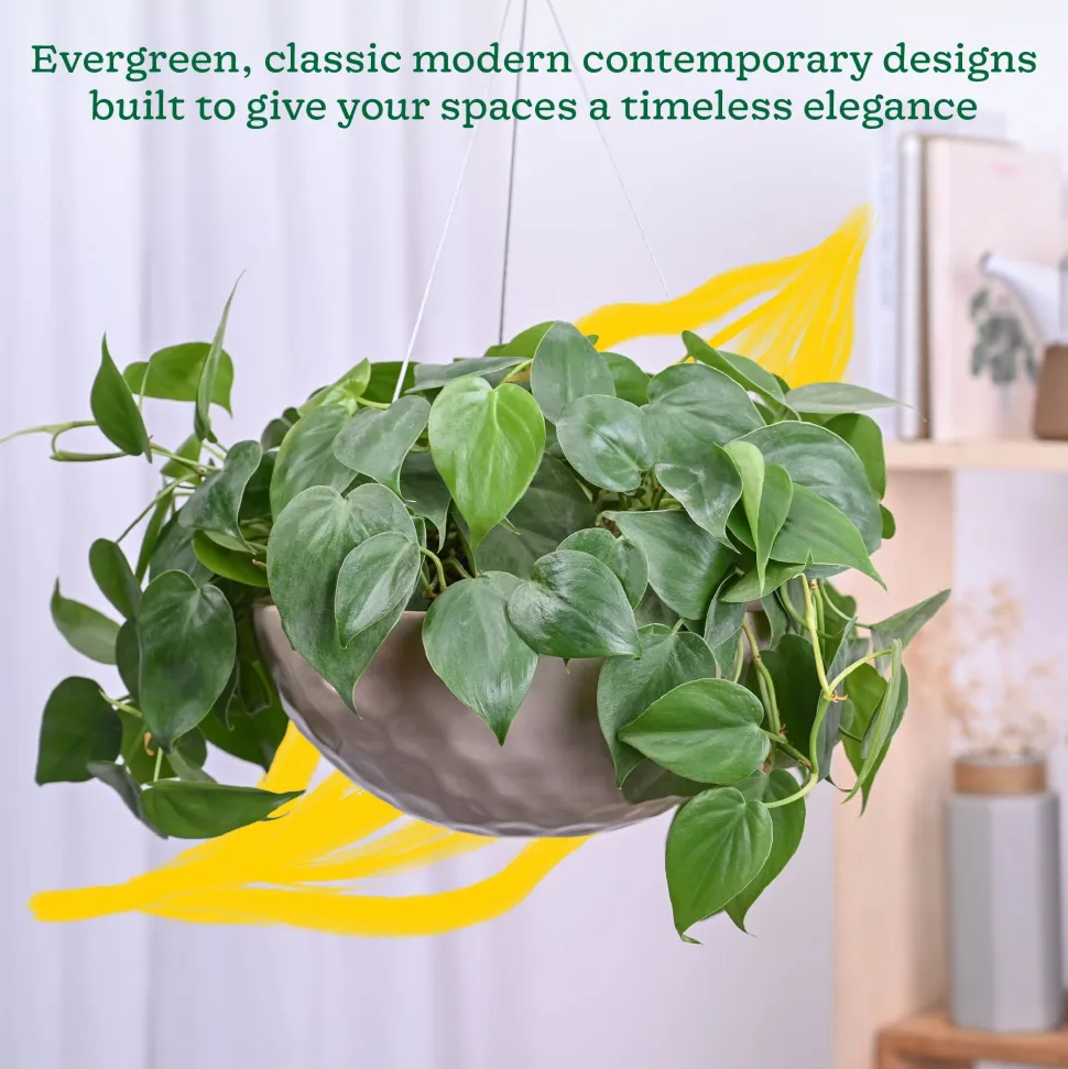 Hanging Ceramic Planters Petrichor Smite