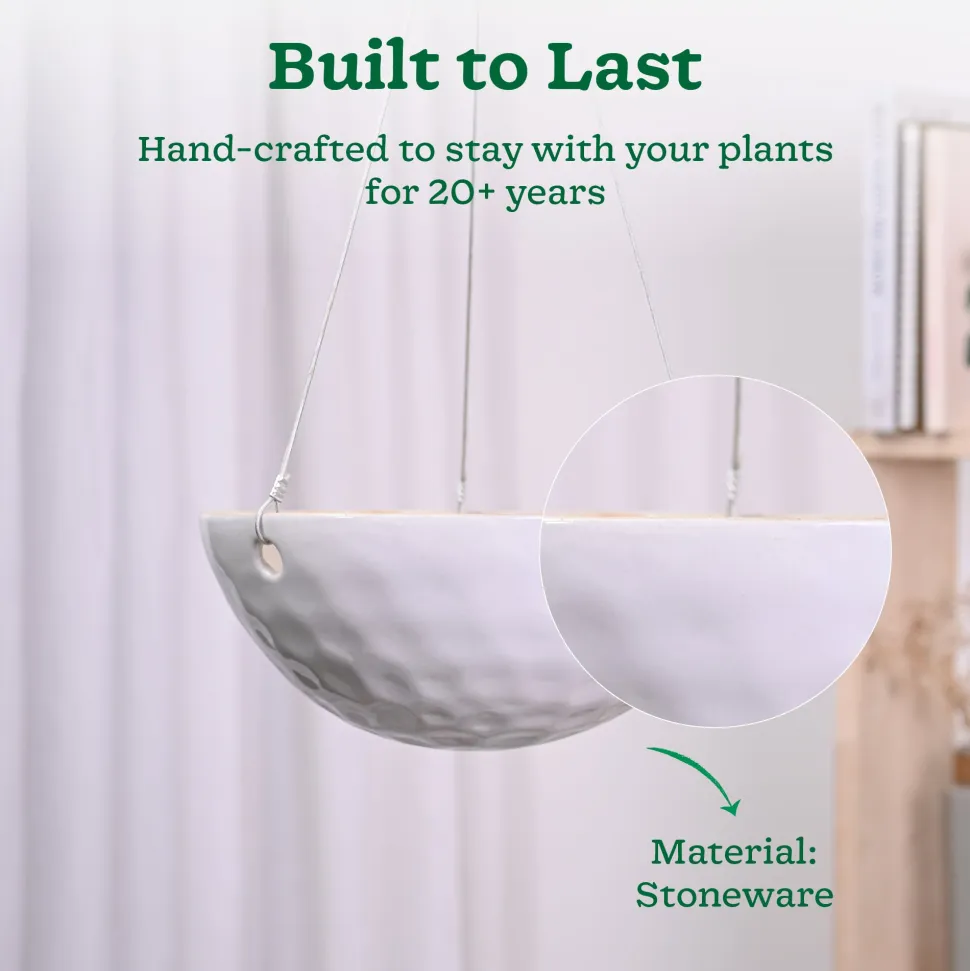 Hanging Ceramic Planters Petrichor Smite