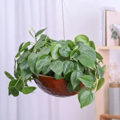 Hanging Ceramic Planters Petrichor Smite