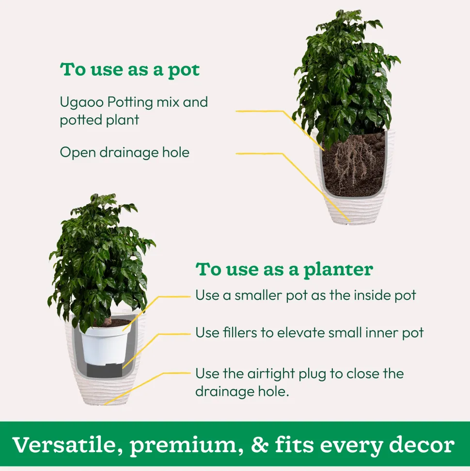 Havana Plastic Planter