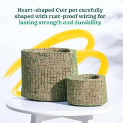 Heart Coir Planter - Set of 2