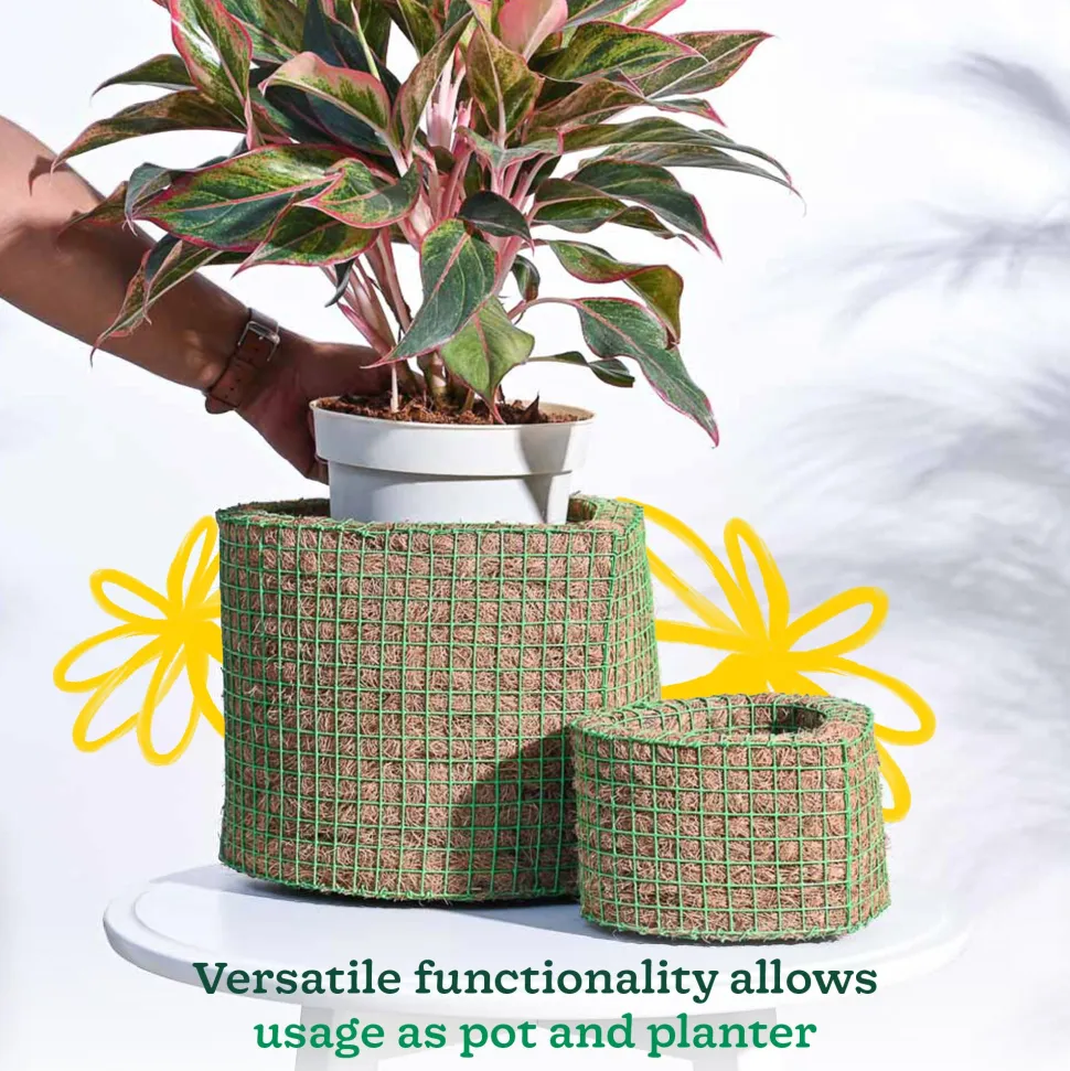 Heart Coir Planter - Set of 2