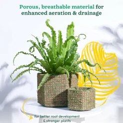 Hexa Coir Planter - Set of 2