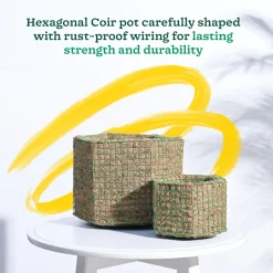Hexa Coir Planter - Set of 2