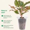 Hydrostone LECA Balls - 6 Litre