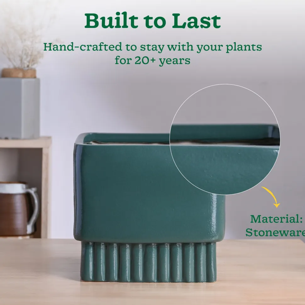 Immortal Nights Ceramic Planter