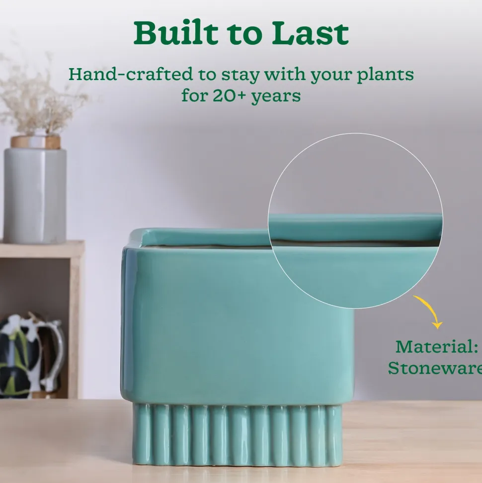 Immortal Nights Ceramic Planter