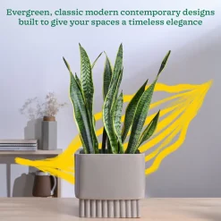 Immortal Nights Ceramic Planter