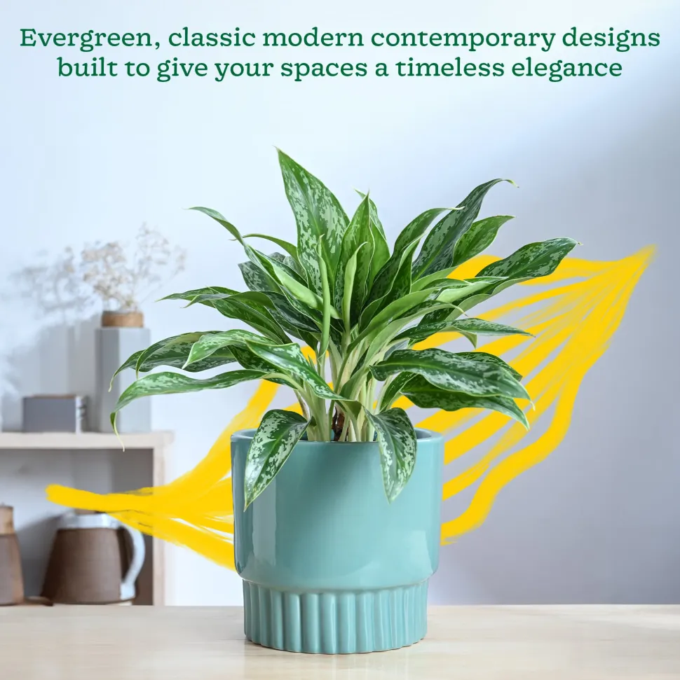 Immortal Nights Ceramic Planter