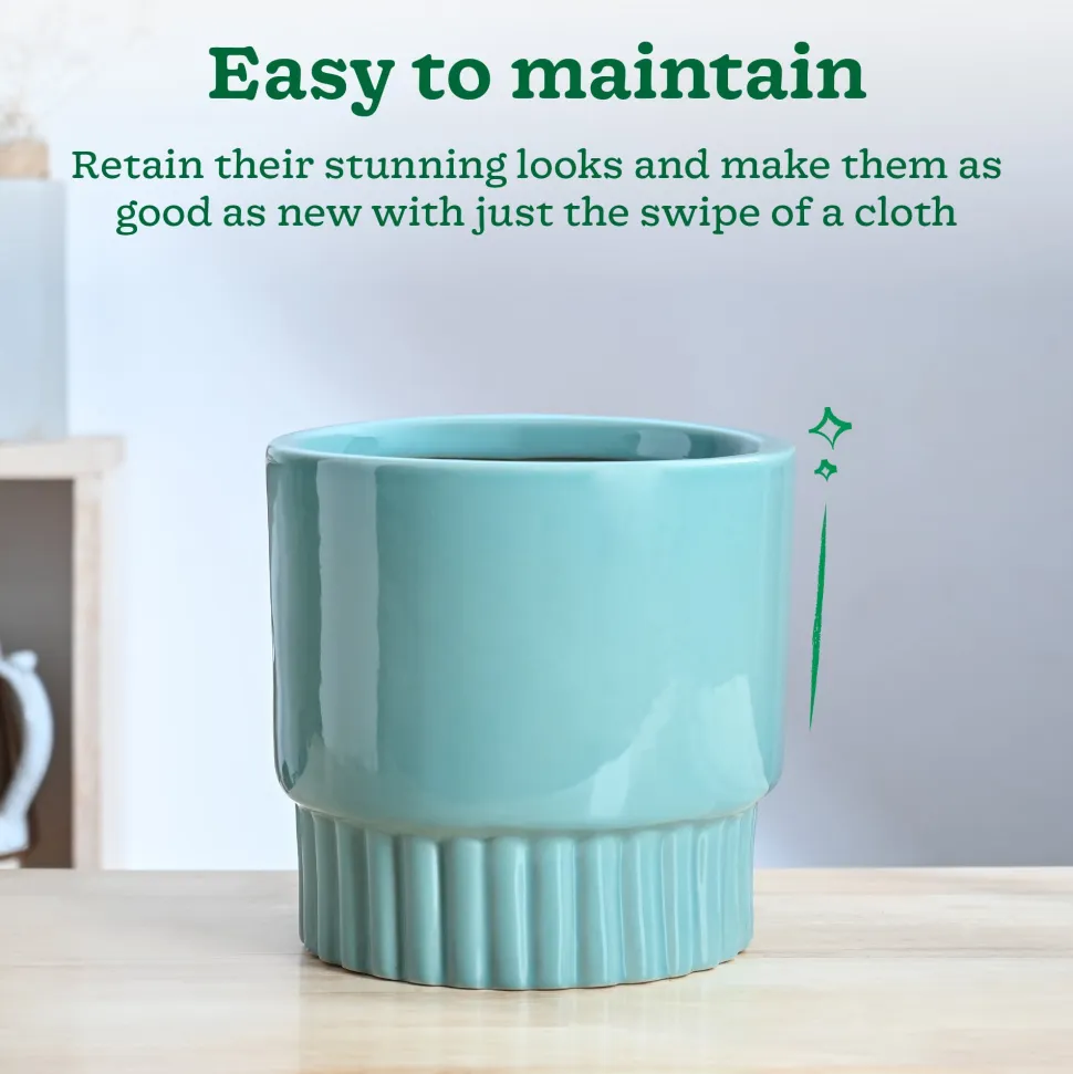 Immortal Nights Ceramic Planter