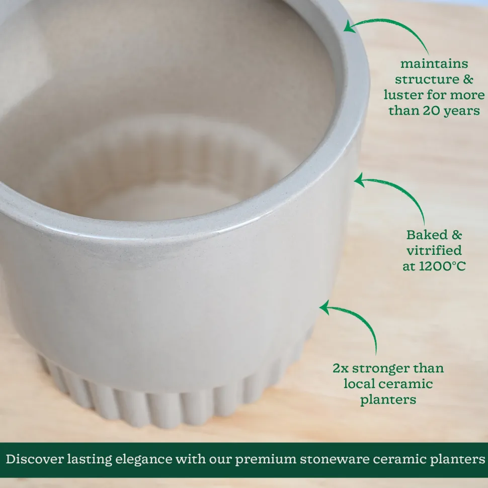 Immortal Nights Ceramic Planter