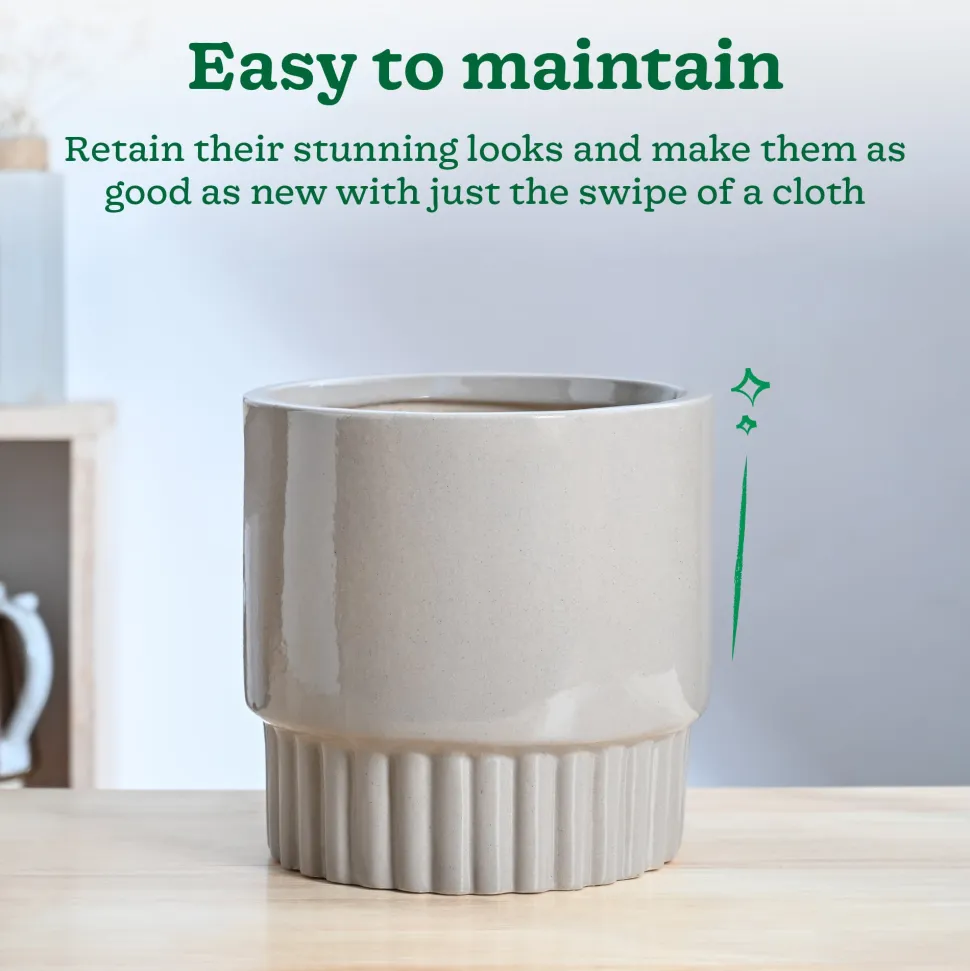 Immortal Nights Ceramic Planter