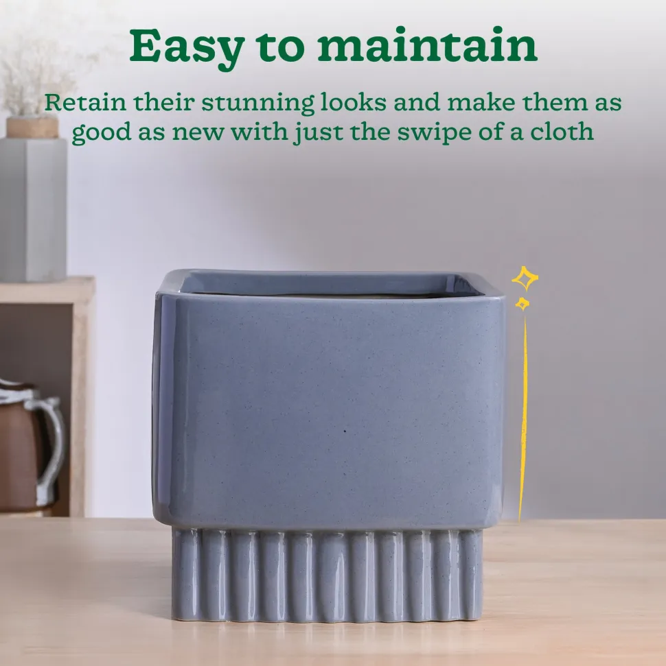 Immortal Nights Ceramic Planter