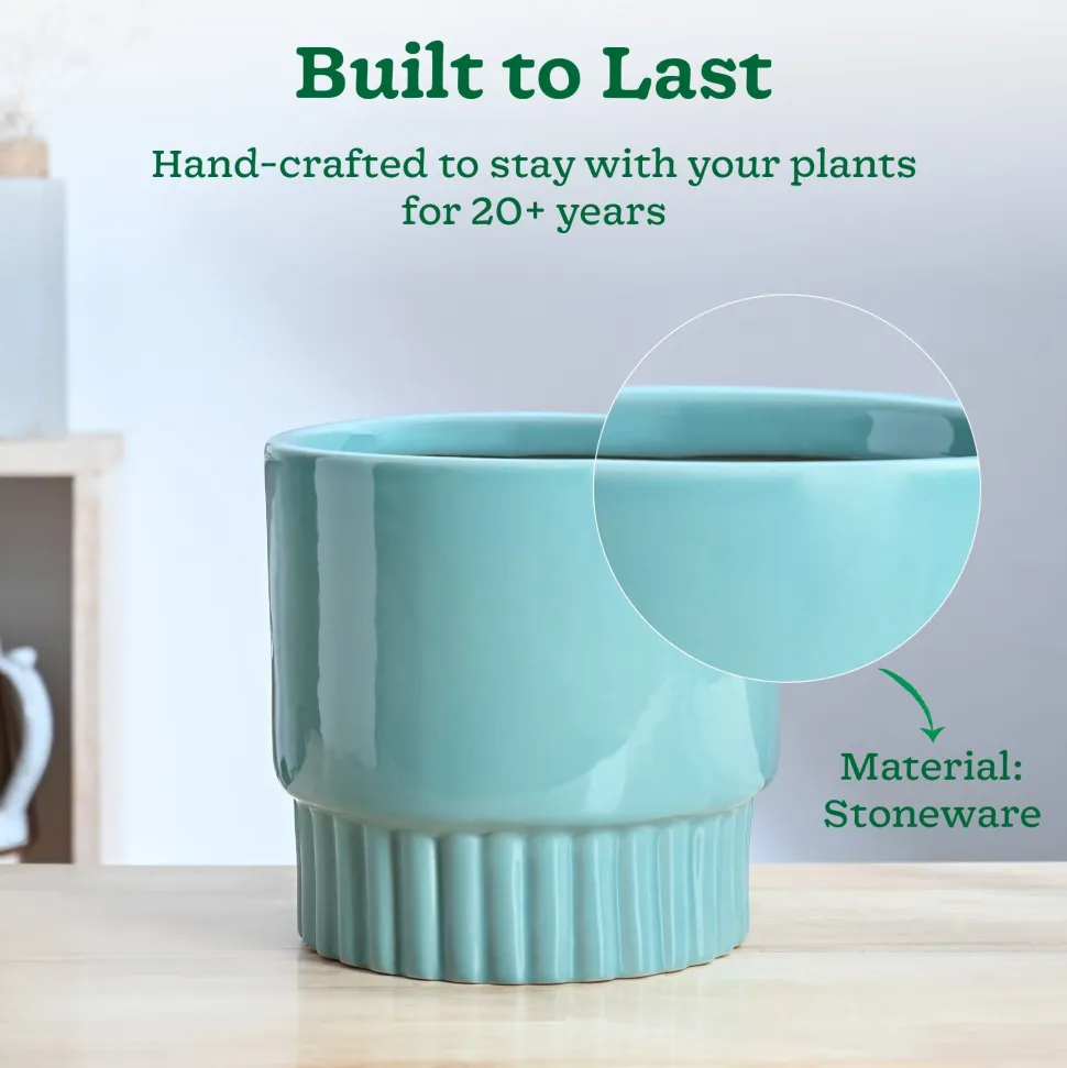 Immortal Nights Ceramic Planter