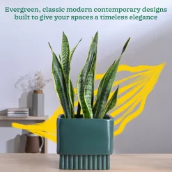 Immortal Nights Ceramic Planter