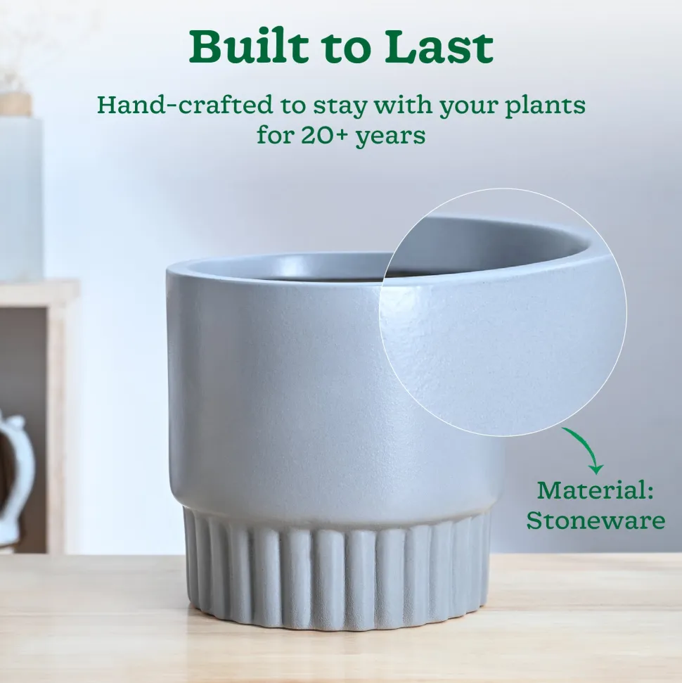 Immortal Nights Ceramic Planter