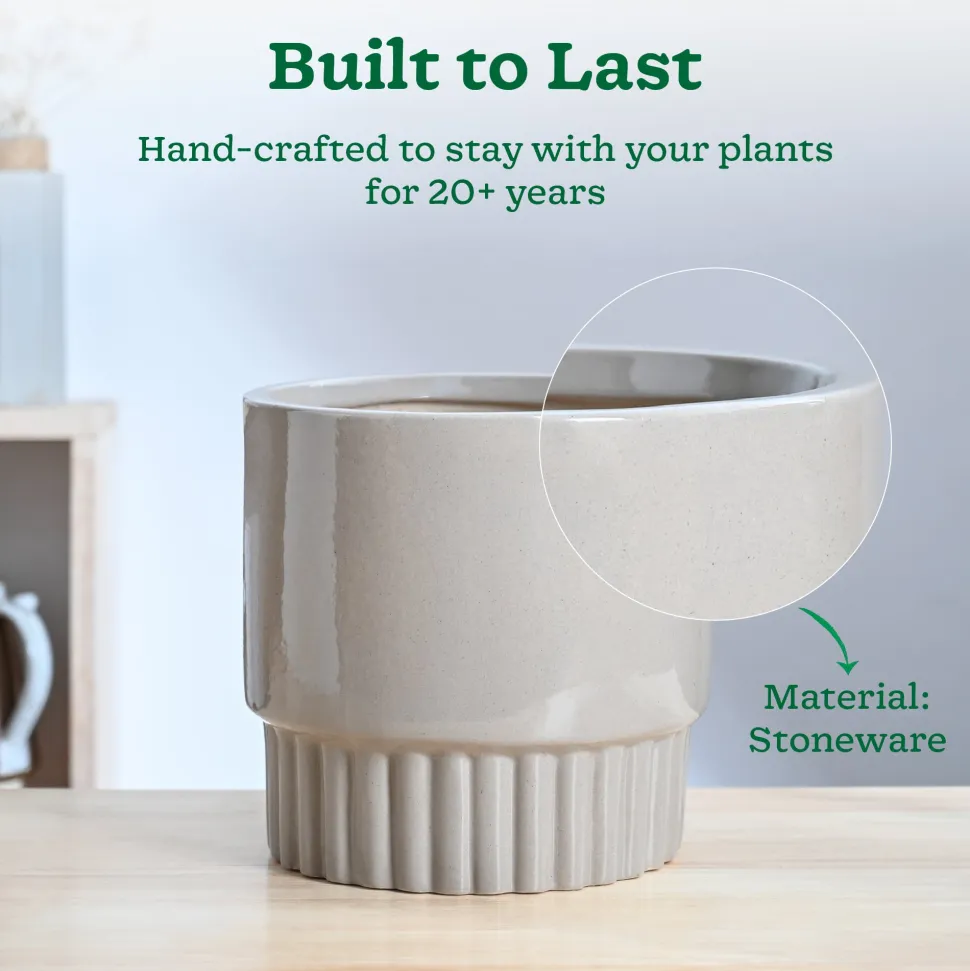 Immortal Nights Ceramic Planter