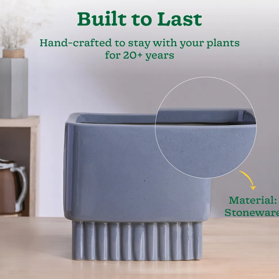 Immortal Nights Ceramic Planter