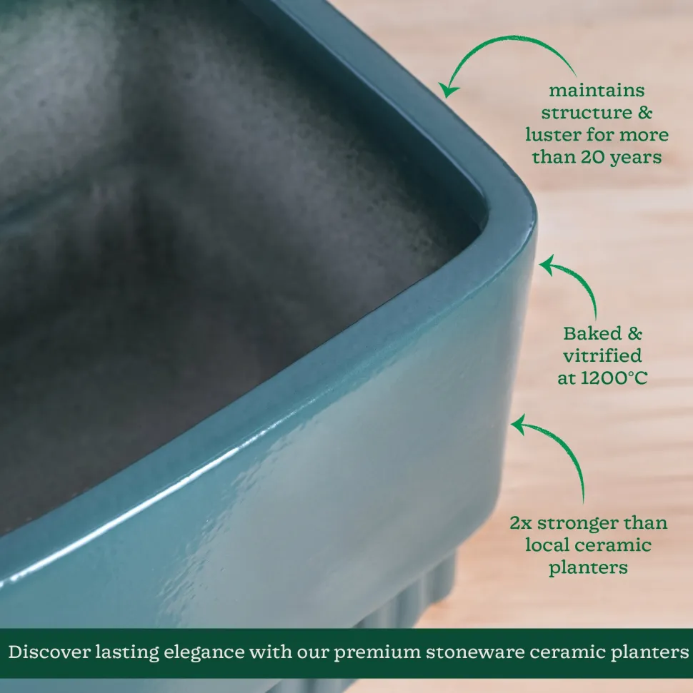 Immortal Nights Ceramic Planter