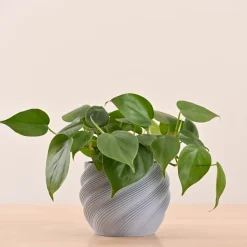 Imperia Planter