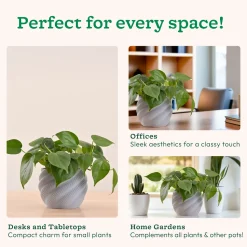 Imperia Planter