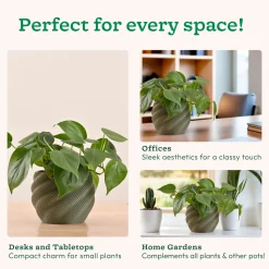 Imperia Planter
