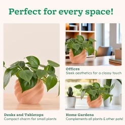 Imperia Planter