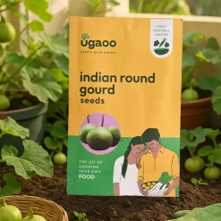 Indian Round Gourd Seeds (Tinda)