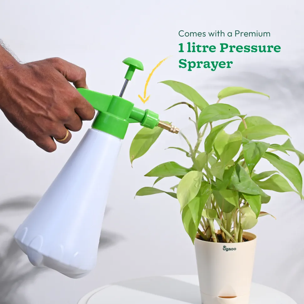 Indoor Gardening Kit