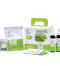 Italian Basil Grow Kit