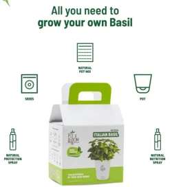 Italian Basil Grow Kit