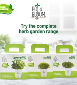 Italian Basil Grow Kit