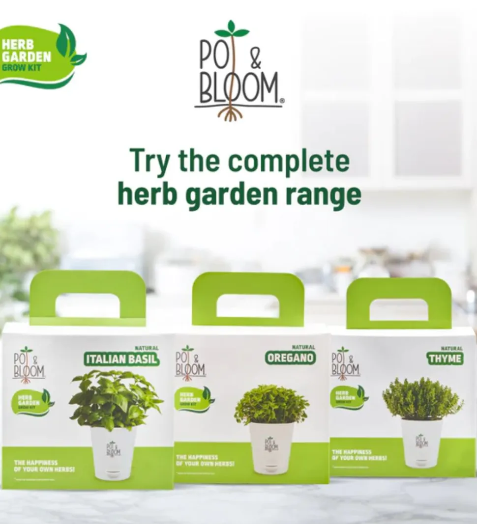 Italian Basil Grow Kit