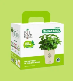 Italian Basil Grow Kit