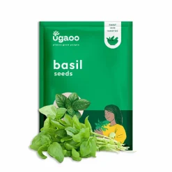 Italian Basil Seeds