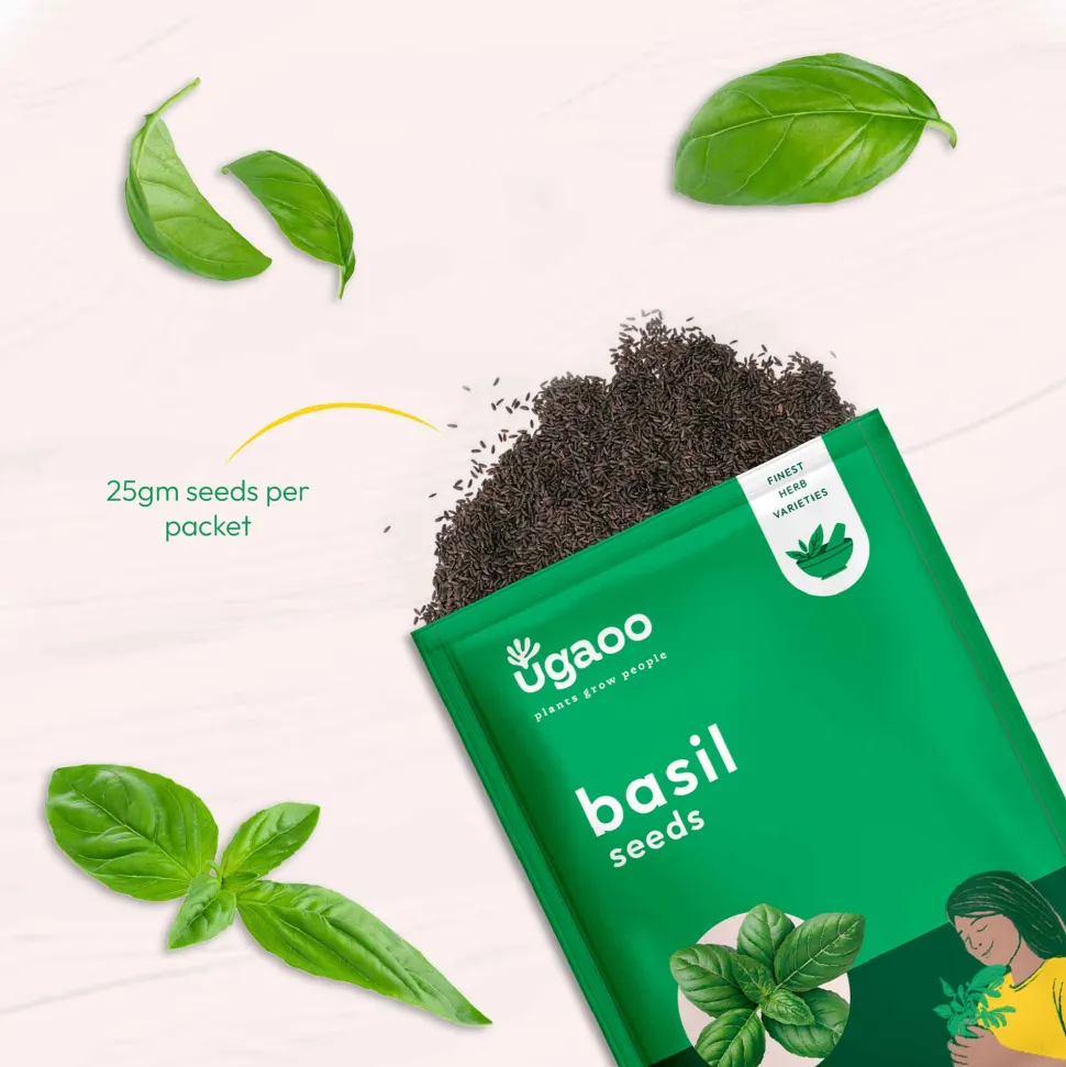 Italian Basil Seeds