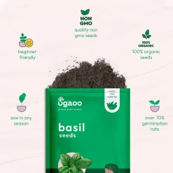 Italian Basil Seeds