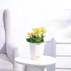 Kalanchoe Plant - Yellow