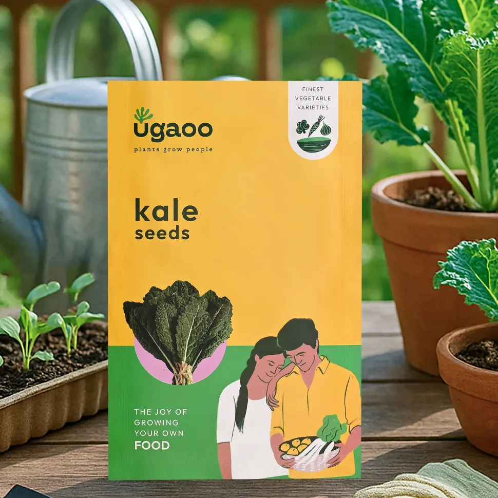 Kale Seeds