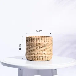 Kauna Grass Planter