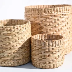 Kauna Grass Planter