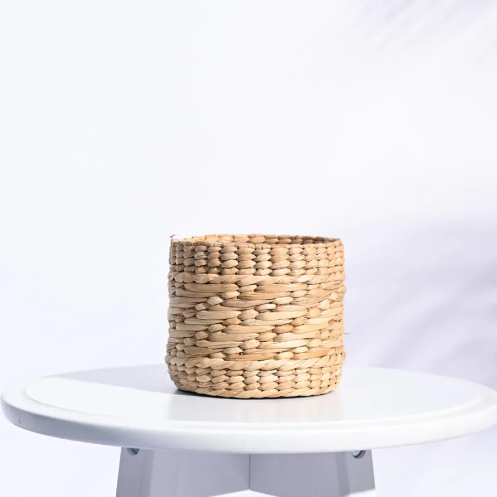 Kauna Grass Planter