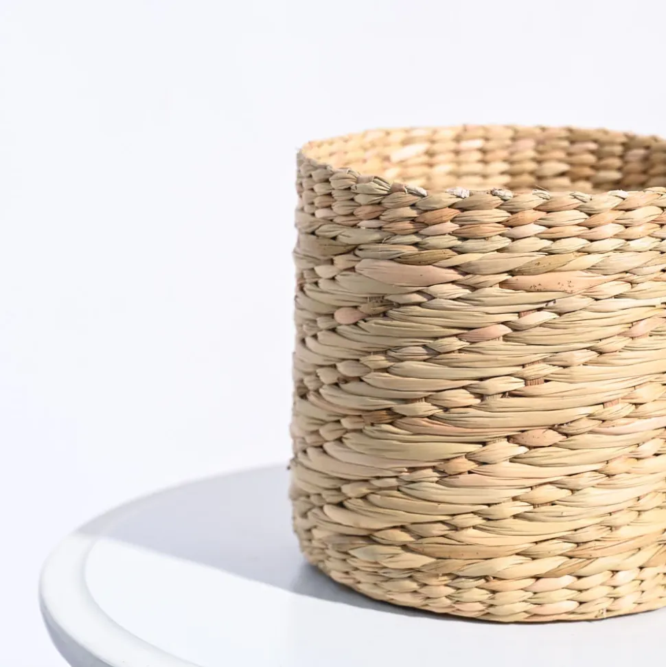 Kauna Grass Planter