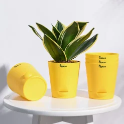 Krish Self Watering Planter - Set of 5