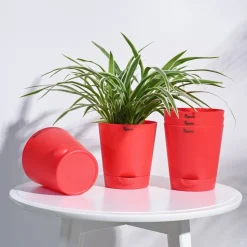 Krish Self Watering Planter - Set of 5